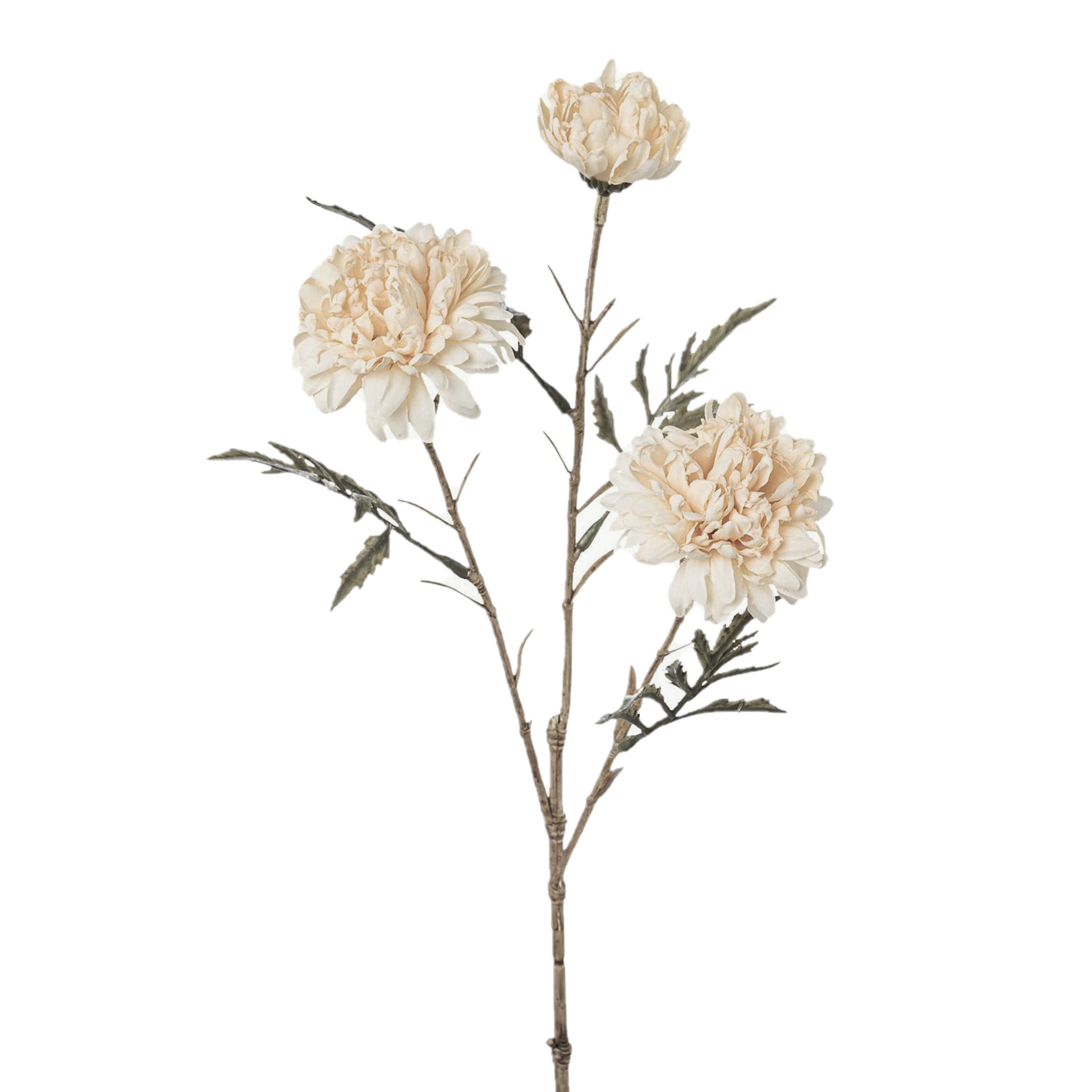 Kunstblume Kunstblume Trockenblume Tageteszweig, 40cm Studentenblume, creme, Gasper, Höhe 40.00 cm
