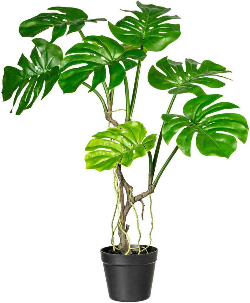 Kunstpflanze »Blattmacher«, COUCH, Höhe 75 cm, im Topf, COUCH Lieblingsstücke