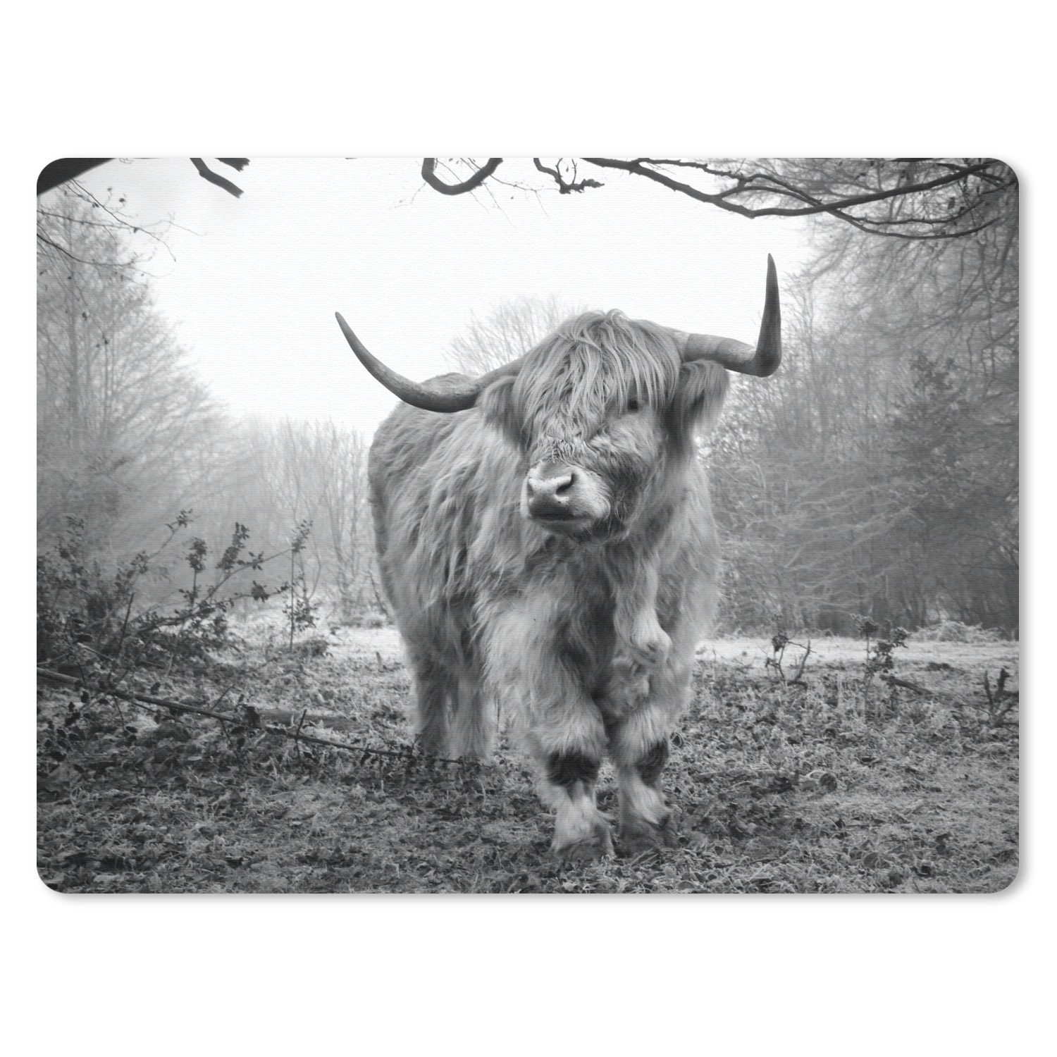 MuchoWow Mauspad Schottischer Highlander - Wald - Nebel - Kuh - Tiere - Natur (1-St), Gaming, Mousepad Klein, Büro Zubehör, Mausunterlage, 23x19 cm