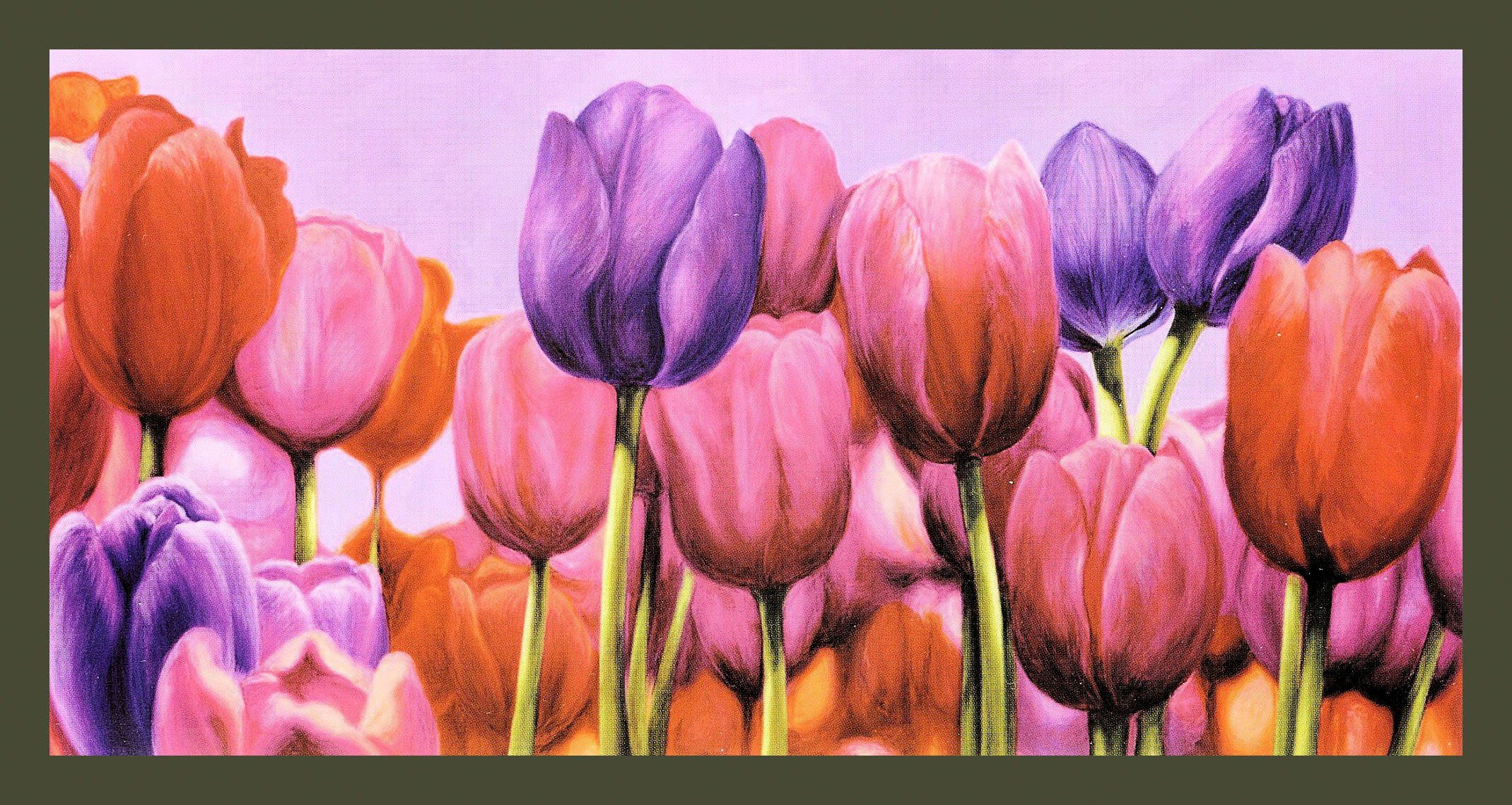 my home Bild mit Rahmen »CORTESE / Campo di Tulipani«, (1 Stück)-Otto