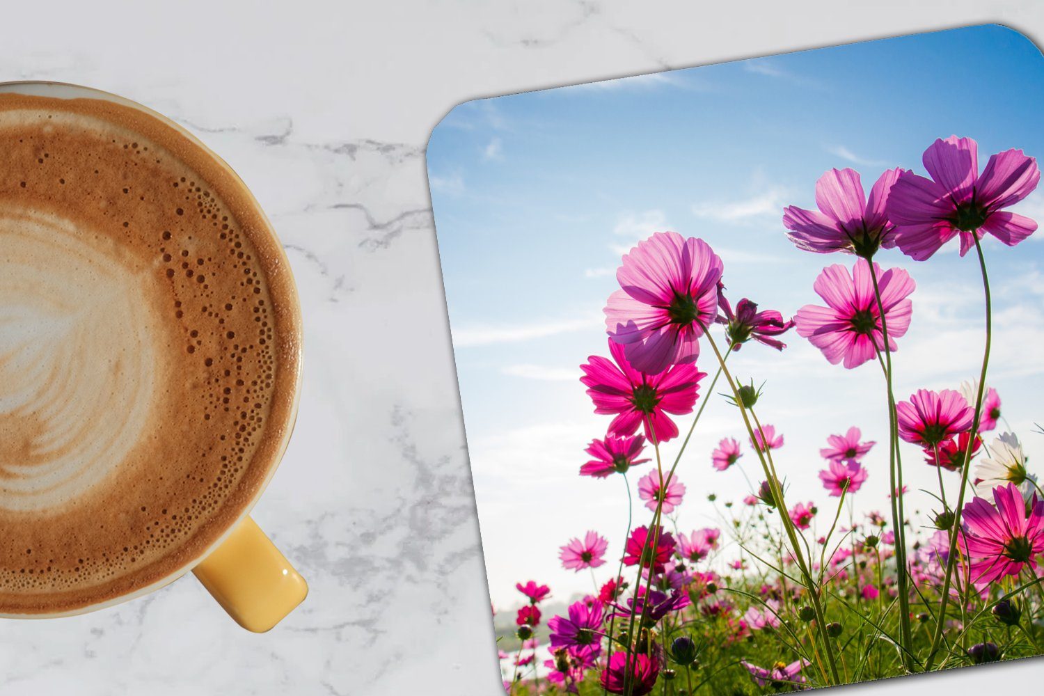 Glasuntersetzer, Cosmea, Tasse für Tischuntersetzer, Untersetzer, Zubehör - 6-tlg., Gläser, MuchoWow Glasuntersetzer Blumen - Rosa Korkuntersetzer,