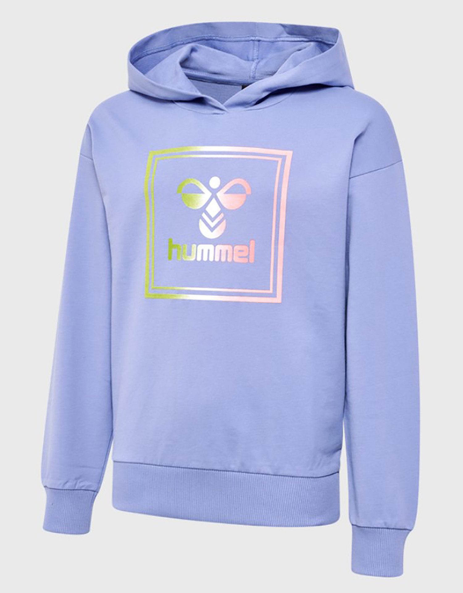 hummel Kapuzensweatshirt HMLLEIDEN Hoodie für Kinder – Komfort und Style für jeden Tag