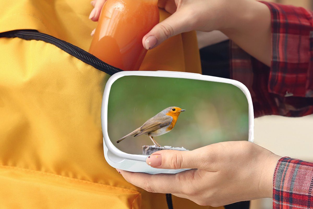 Vogel - Lunchbox für für und Tiere Kunststoff, MuchoWow weiß Mädchen Jungs und Kinder Brotdose, (2-tlg), - Erwachsene, Rotkehlchen, Brotbox