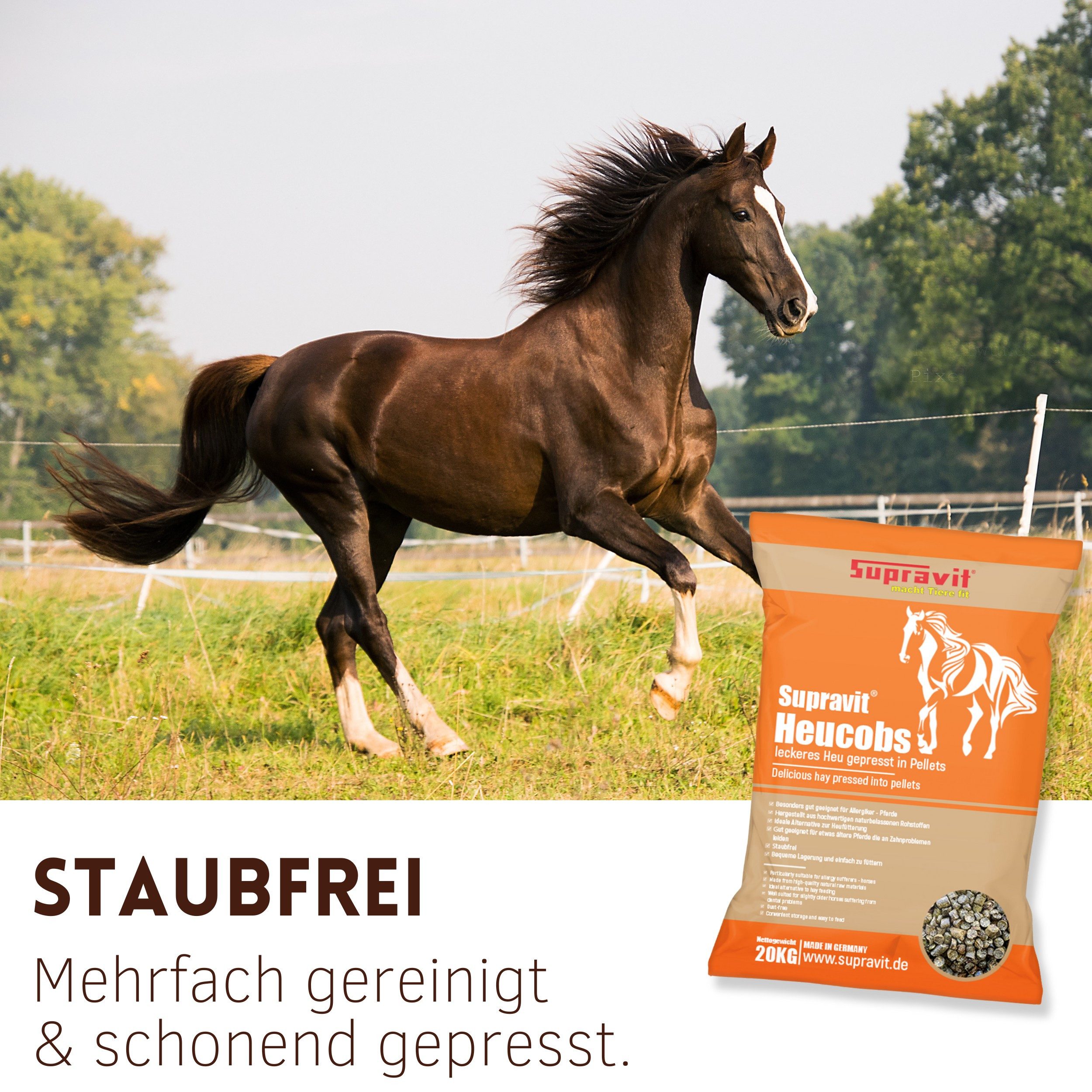 Supravit Heucobs 20kg - Pferdefutter gut geeignet für Allergiker - staubfrei Heucobs, Ergänzungsfutter für: Pferd
