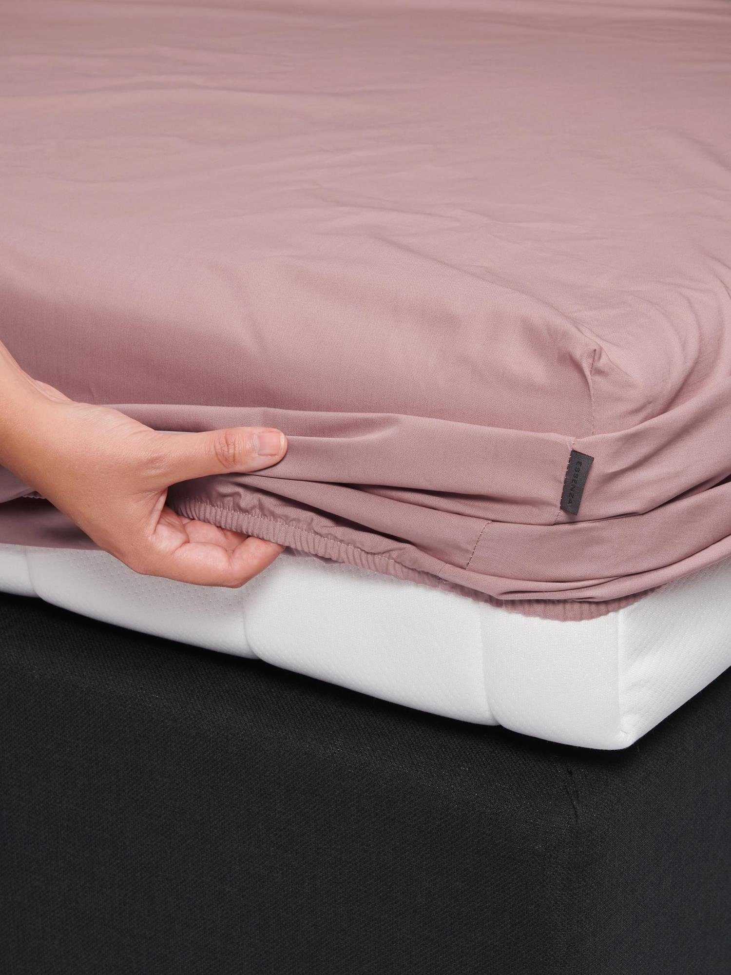 Essenza Spannbettlaken Premium Percale, Perkal, Gummizug: rundum, (1 Stück) günstig online kaufen