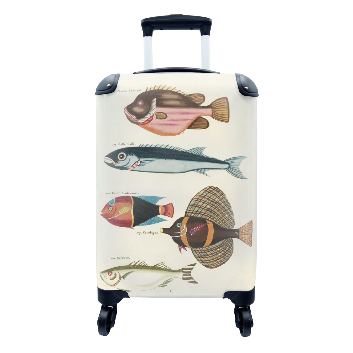 MuchoWow Handgepäckkoffer Farbe - Vintage - Fisch, 4 Rollen, Reisetasche mit rollen, Handgepäck für Ferien, Trolley, Reisekoffer