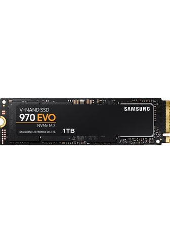 SAMSUNG »970 EVO NVMe M.2 SSD« SSD...