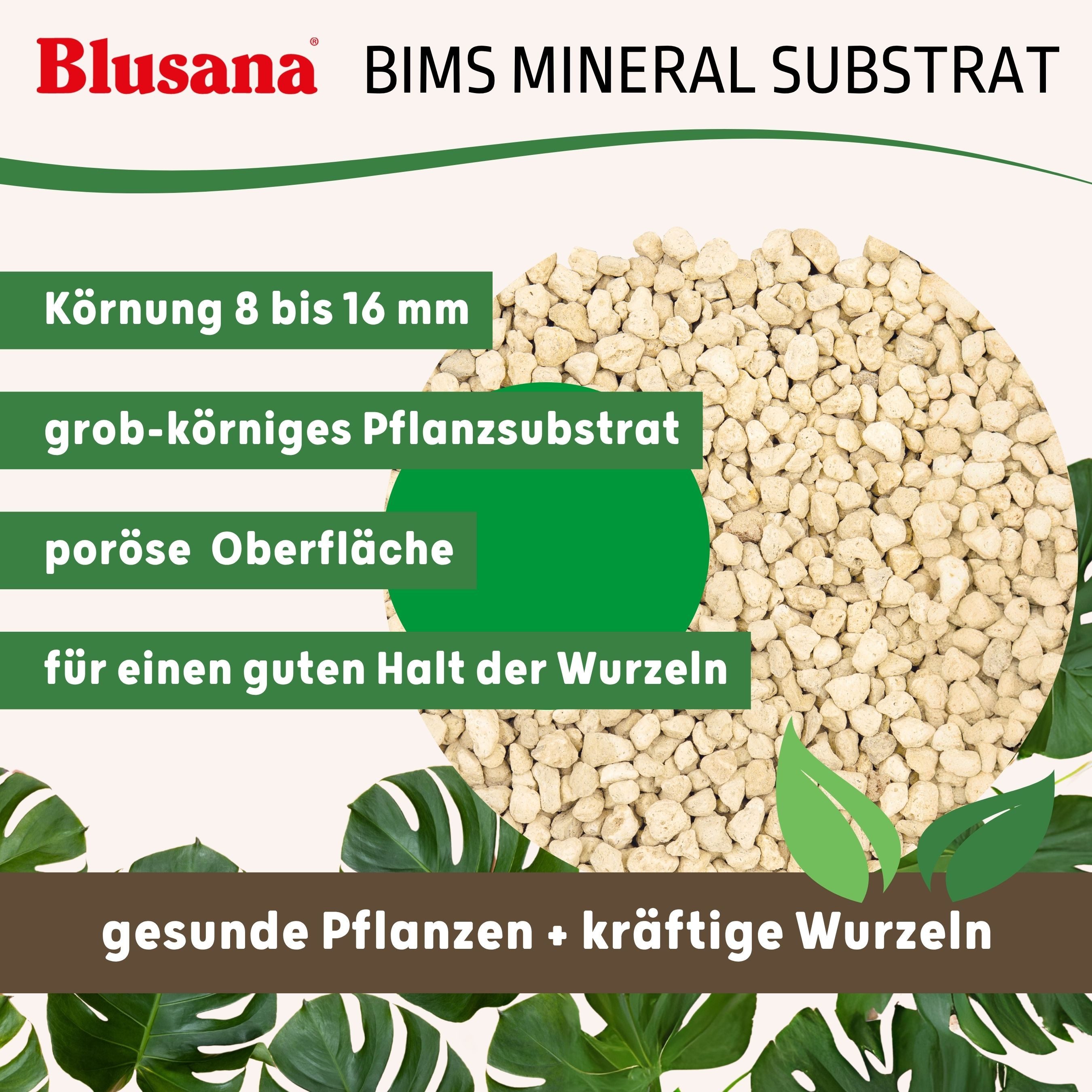 Blusana Pflanzgranulat Bimsstein Pflanzsubstrat mineralisches Bims Vulkangestein, (Substrat für Zimmerpflanzen Balkonkästen Kübel), Pflanzen Granulat Körnung 8- – Bild 3 von 5