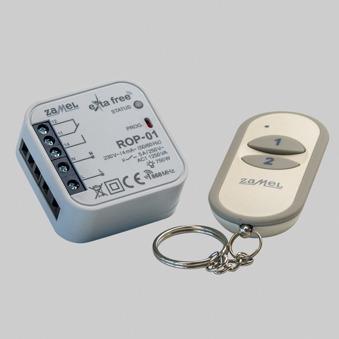 Subtiel Schornstein Fernbedienung für Rauchsauger (Sender + Empfänger)