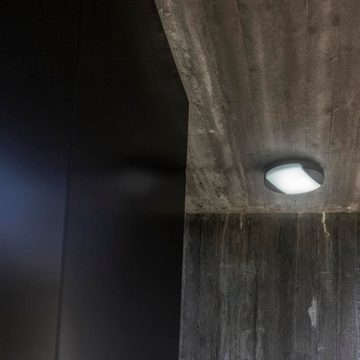 click-licht LED Außen-Wandleuchte LED Wand- und Deckenleuchte Sweep in Anthrazit 23,5W 1600lm IP54, keine Angabe, Leuchtmittel enthalten: Ja, fest verbaut, LED, warmweiss, Aussenlampe, Aussenwandleuchte, Outdoor-Leuchte