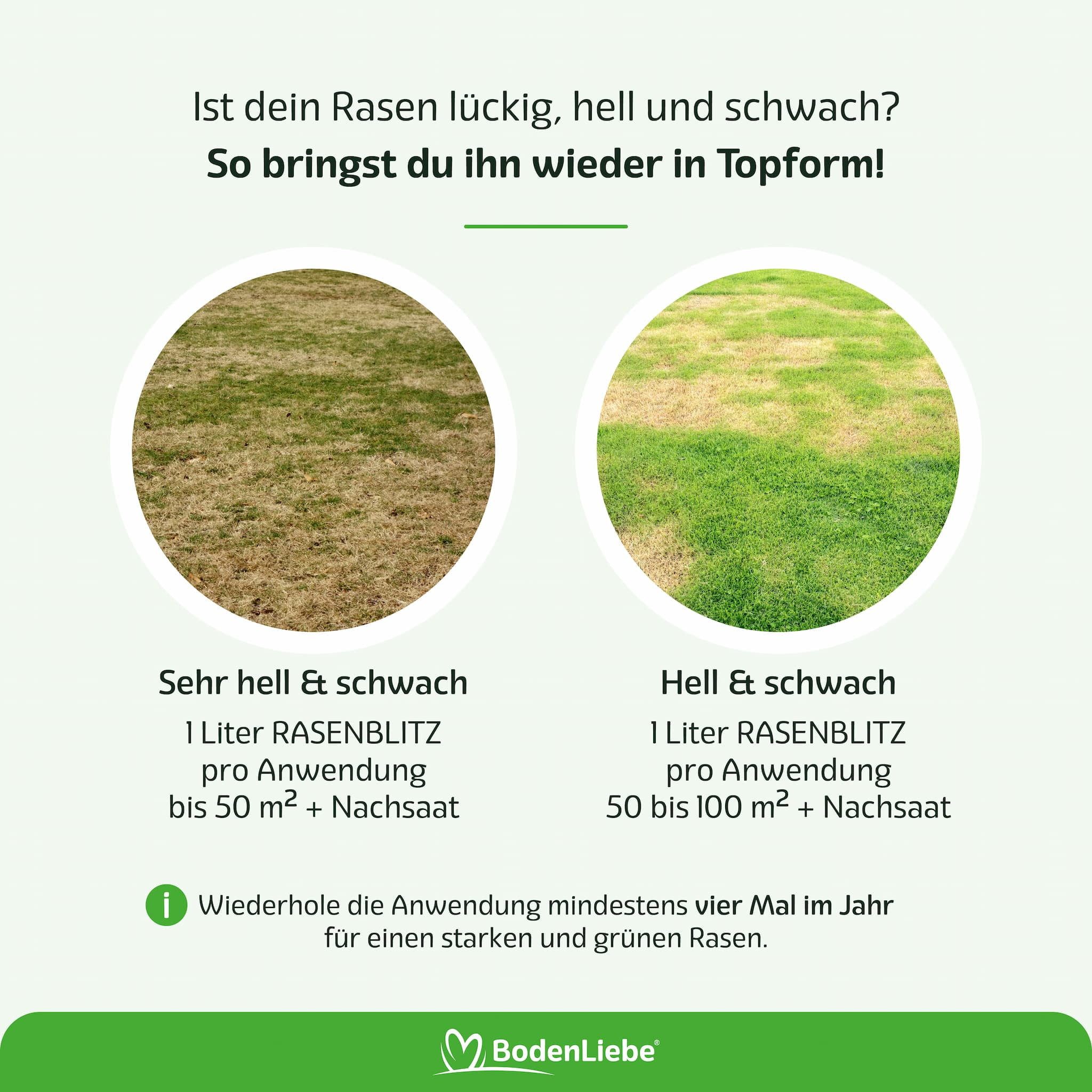 RASENBLITZ Rasendünger RASENBLITZ Ganzjahresdünger, 1 Liter, 2 Liter, 5 Liter, 10 Liter – Bild 5 von 5