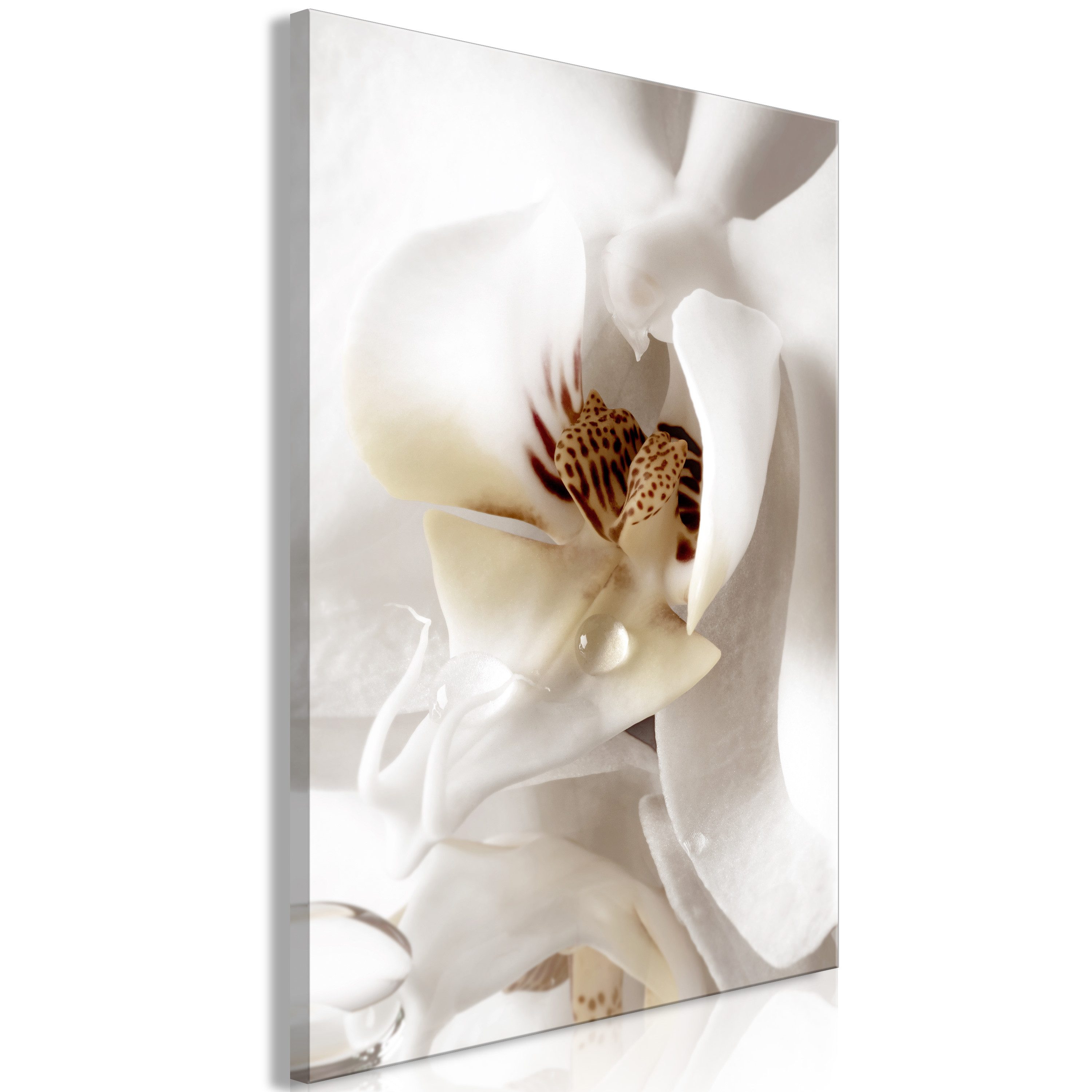 Basera® Leinwandbild b-C-0834-b-a