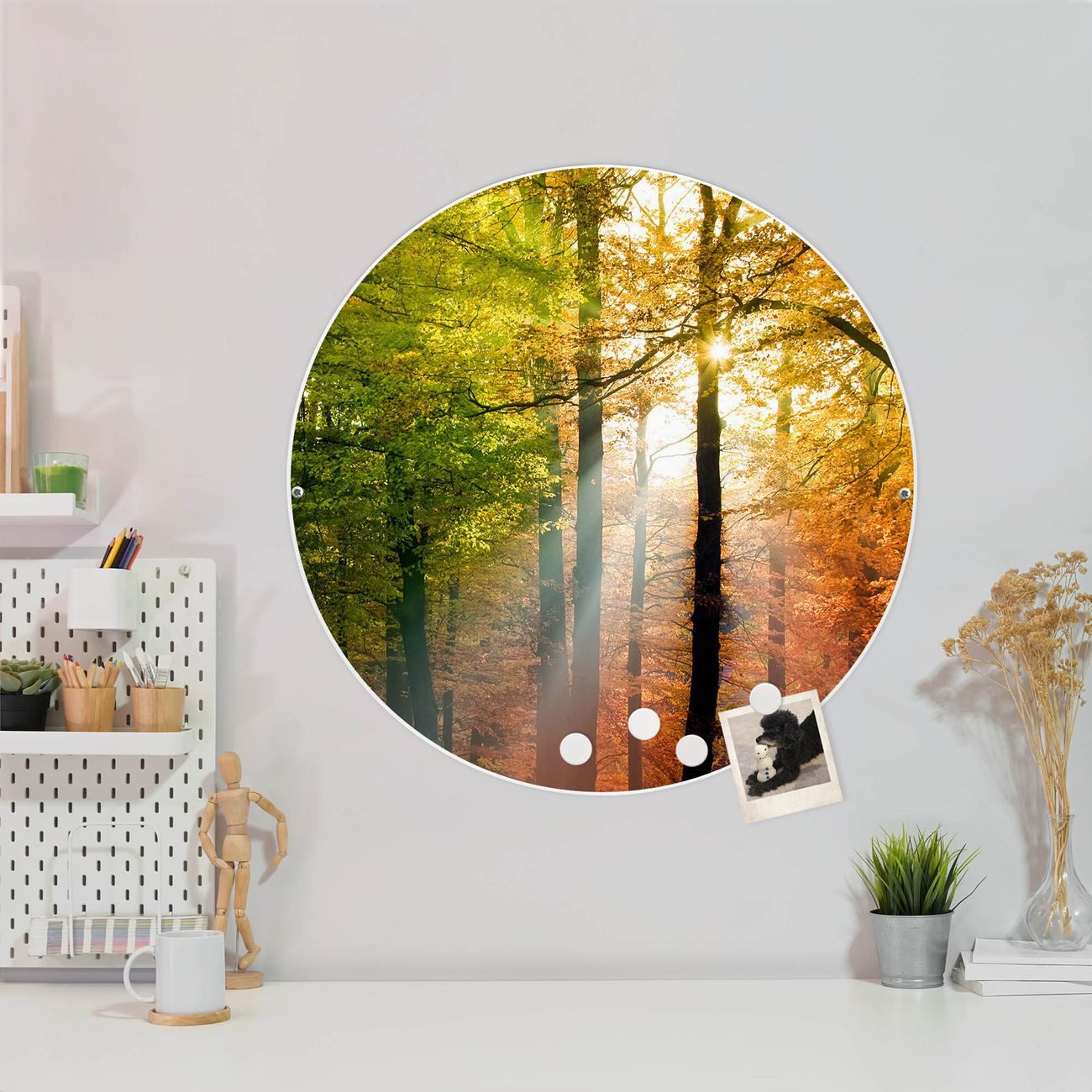 banjado Magnettafel Stahl Rund Herbstwald, (inkl. 4 Magnete, Runde Stahlmagnettafel)