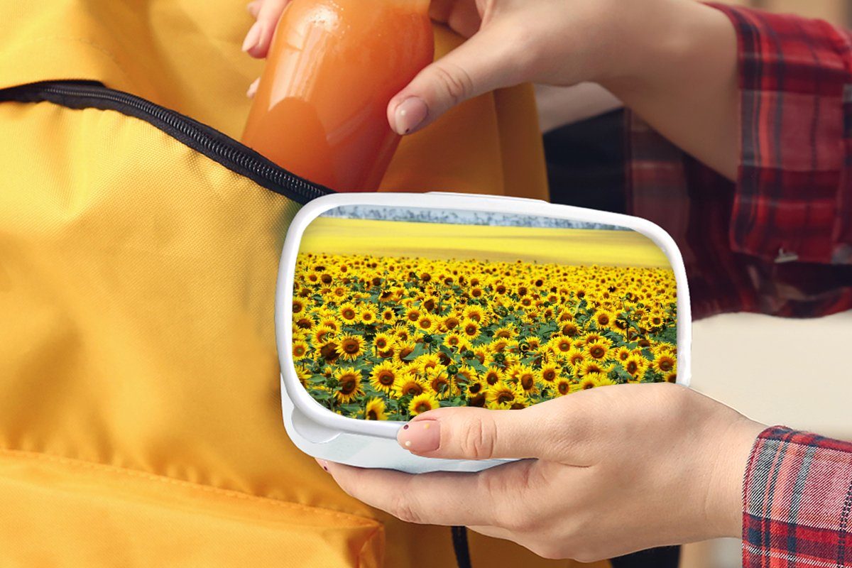 Brotdose, Jungs und und Brotbox MuchoWow Mädchen Erwachsene, Kinder (2-tlg), für Kunststoff, Sonnenblume für Lunchbox Natur, Blumen - weiß -