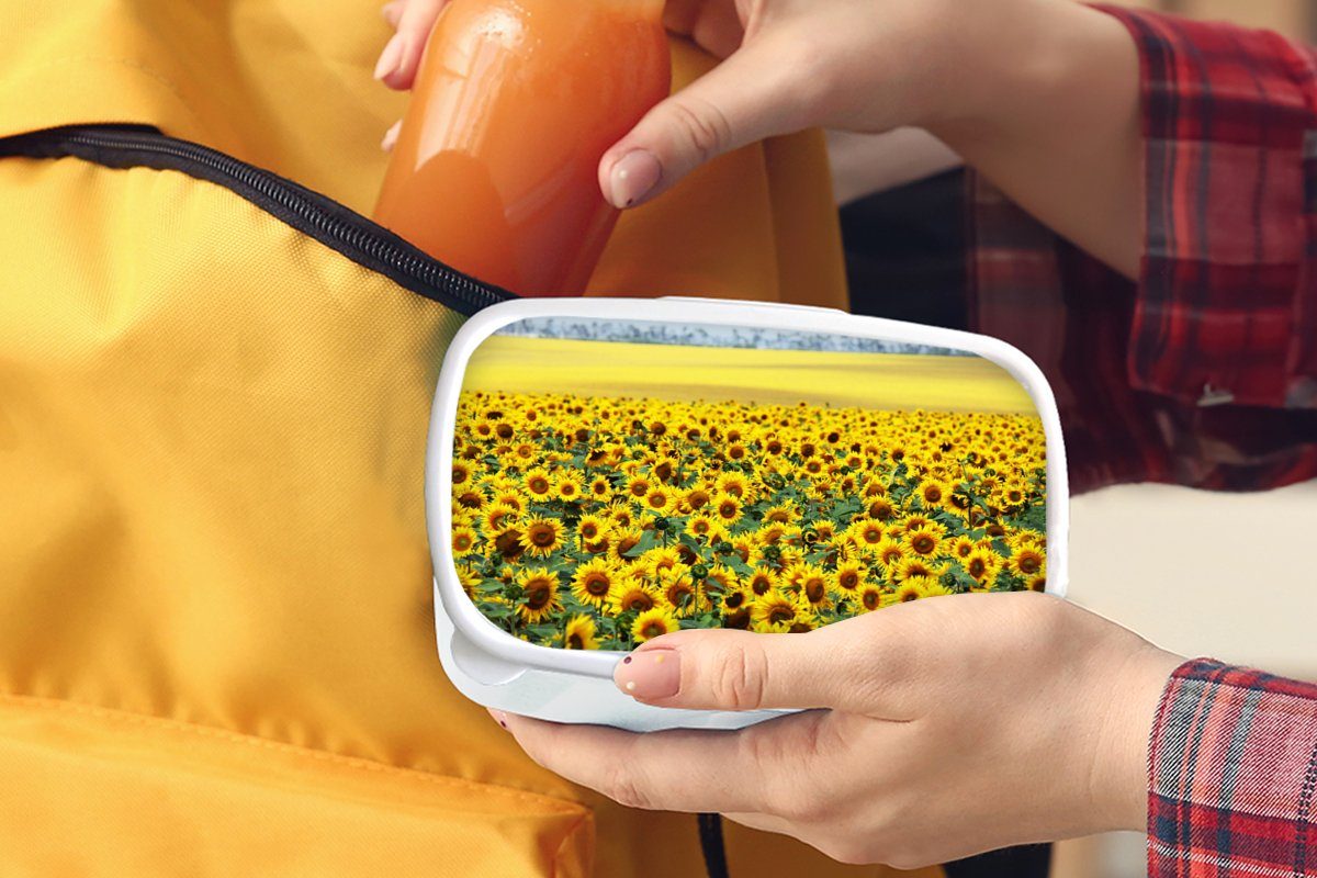 (2-tlg), für Blumen Kinder Erwachsene, Mädchen - Lunchbox Jungs und - Brotdose, Kunststoff, MuchoWow und weiß für Sonnenblume Natur, Brotbox