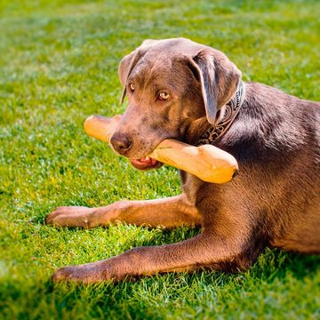 Larsson Farm Dummy für Hunde Größe S, Kaffeewurzelholz, (1-tlg) besonders robust und langlebig