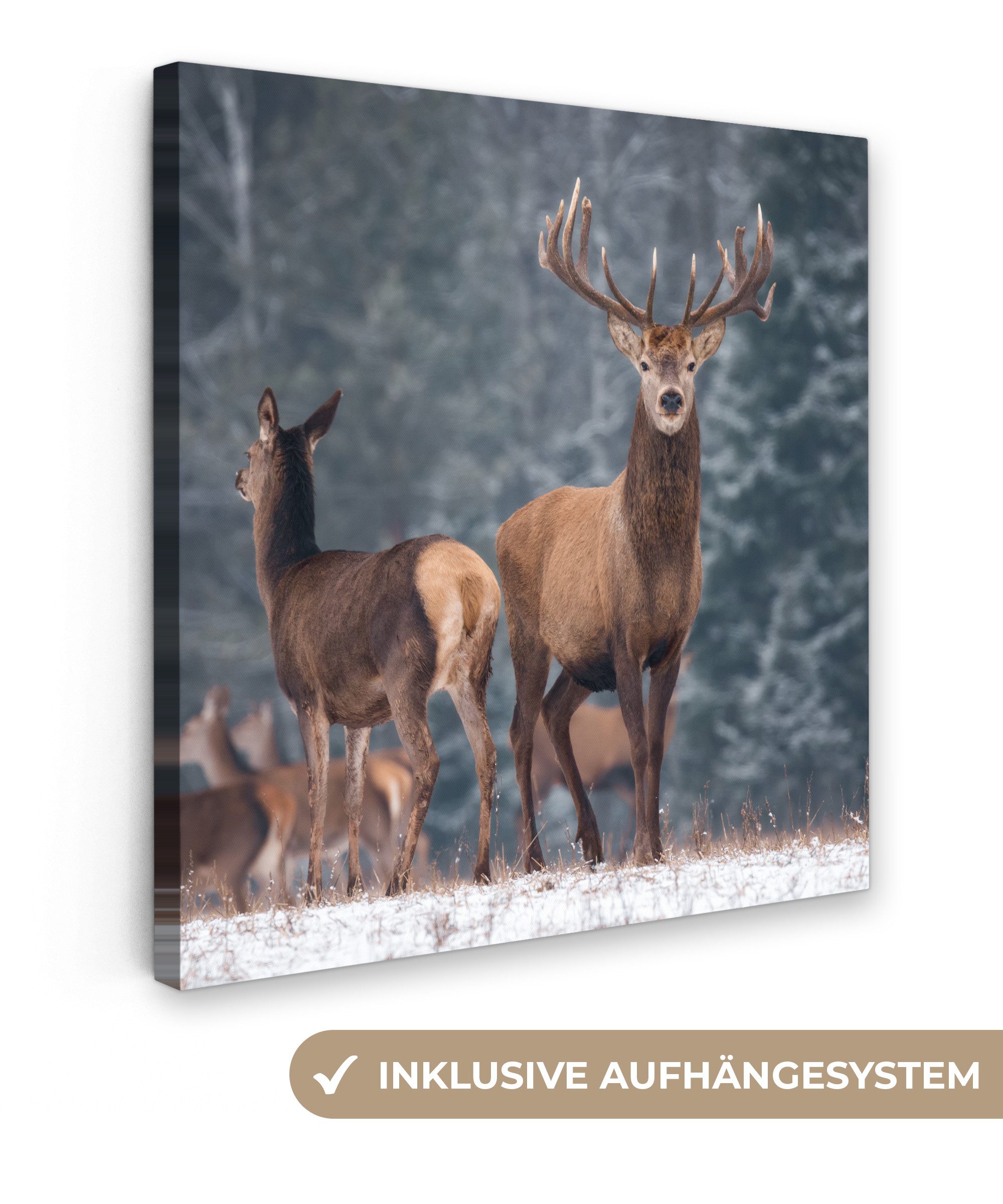 OneMillionCanvasses® Leinwandbild Waldtiere - Hirsche - Landschaft - Winter - Schnee - Natur, Fotodruck (1 St), Wandbild, Deko Schlafzimmer Wohnzimmer Flur 20x20 cm