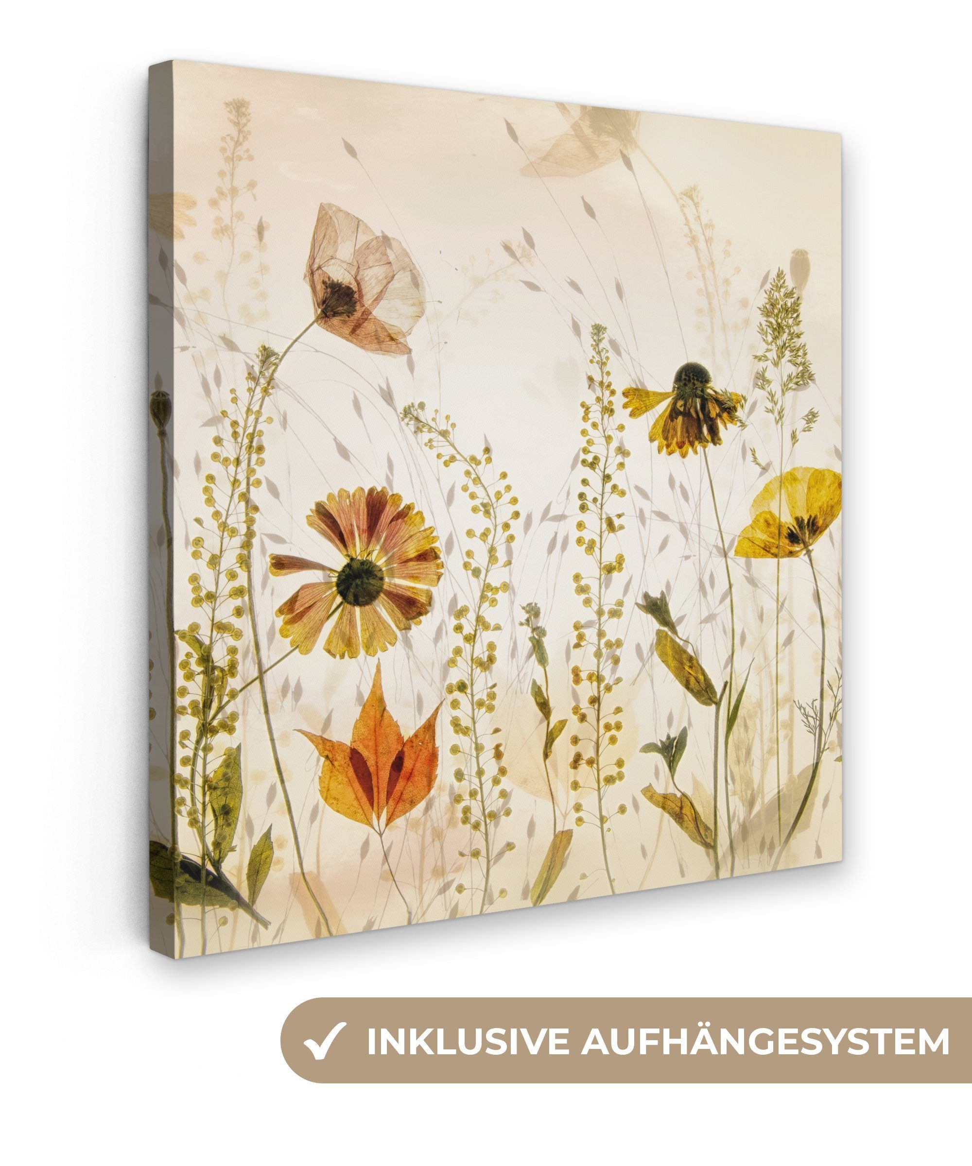 OneMillionCanvasses® Leinwandbild Illustration - Pflanzen - Insekten - Beige, Fotodruck (1 St), Wandbild, Deko Schlafzimmer Wohnzimmer Flur 20x20 cm
