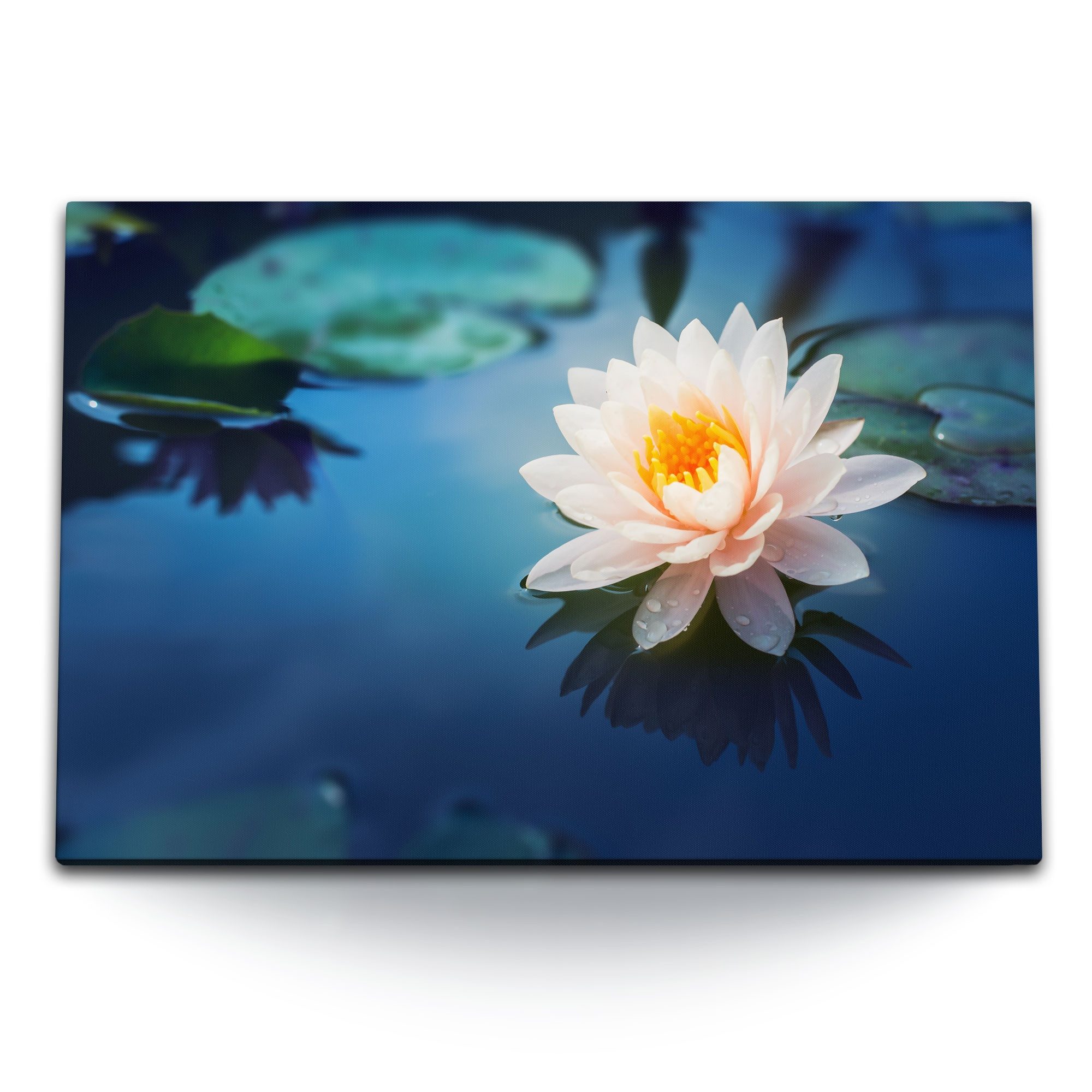 Sinus Art Leinwandbild 120x80cm Wandbild auf Leinwand Wasserblume Lotus