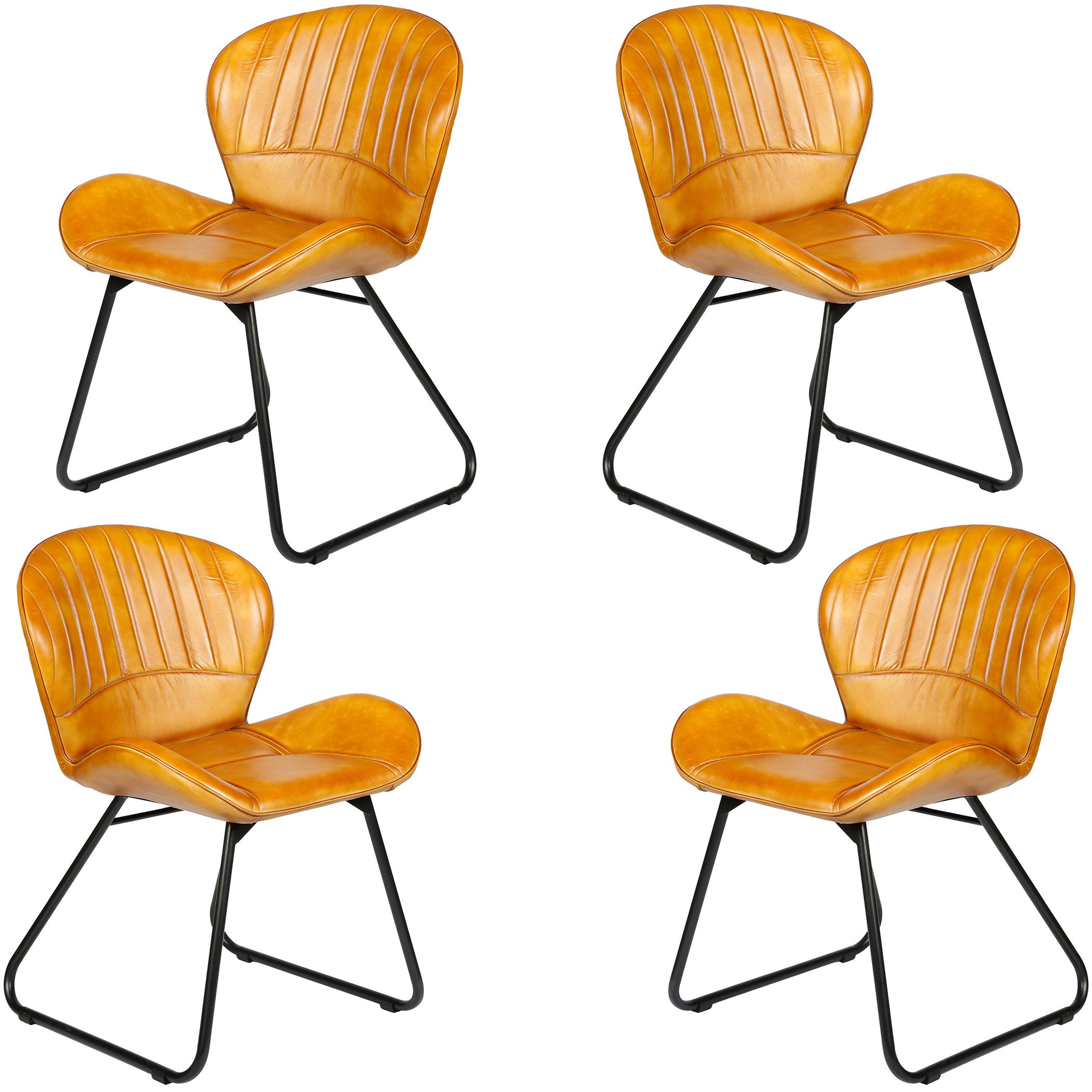 Casa Moro Polsterstuhl Esszimmerstuhl Leder Cognac günstig online kaufen
