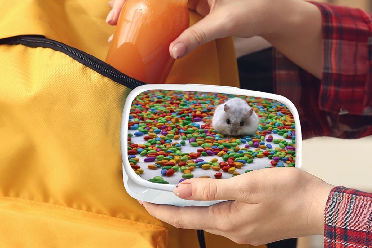 MuchoWow Lunchbox Hamster zwischen den Jungs (2-tlg), Erwachsene, Brotbox Bonbons, für für weiß und bunten Kunststoff, Kinder Brotdose, und Mädchen