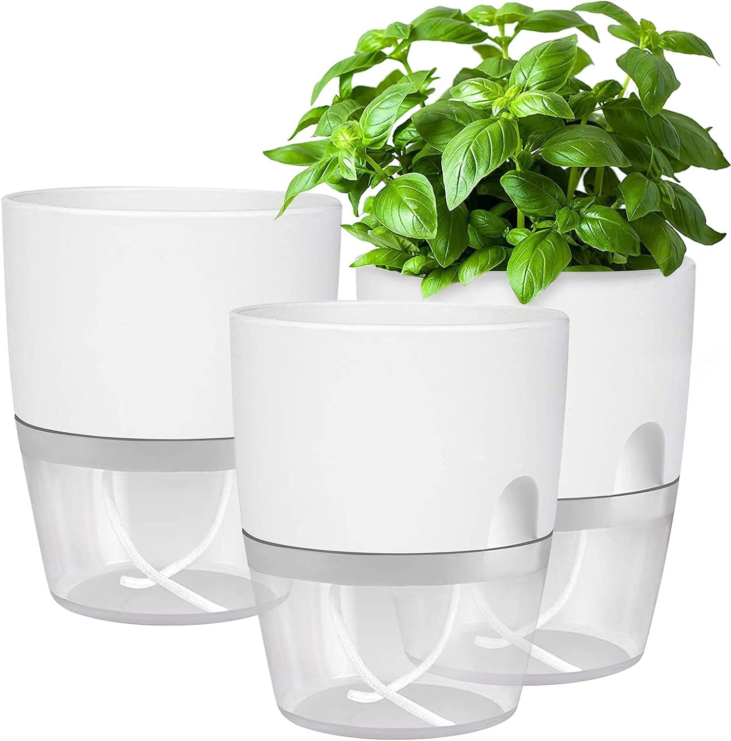 Refined Living Kräutertopf mit Selbstbewässerung, 3er günstig online kaufen
