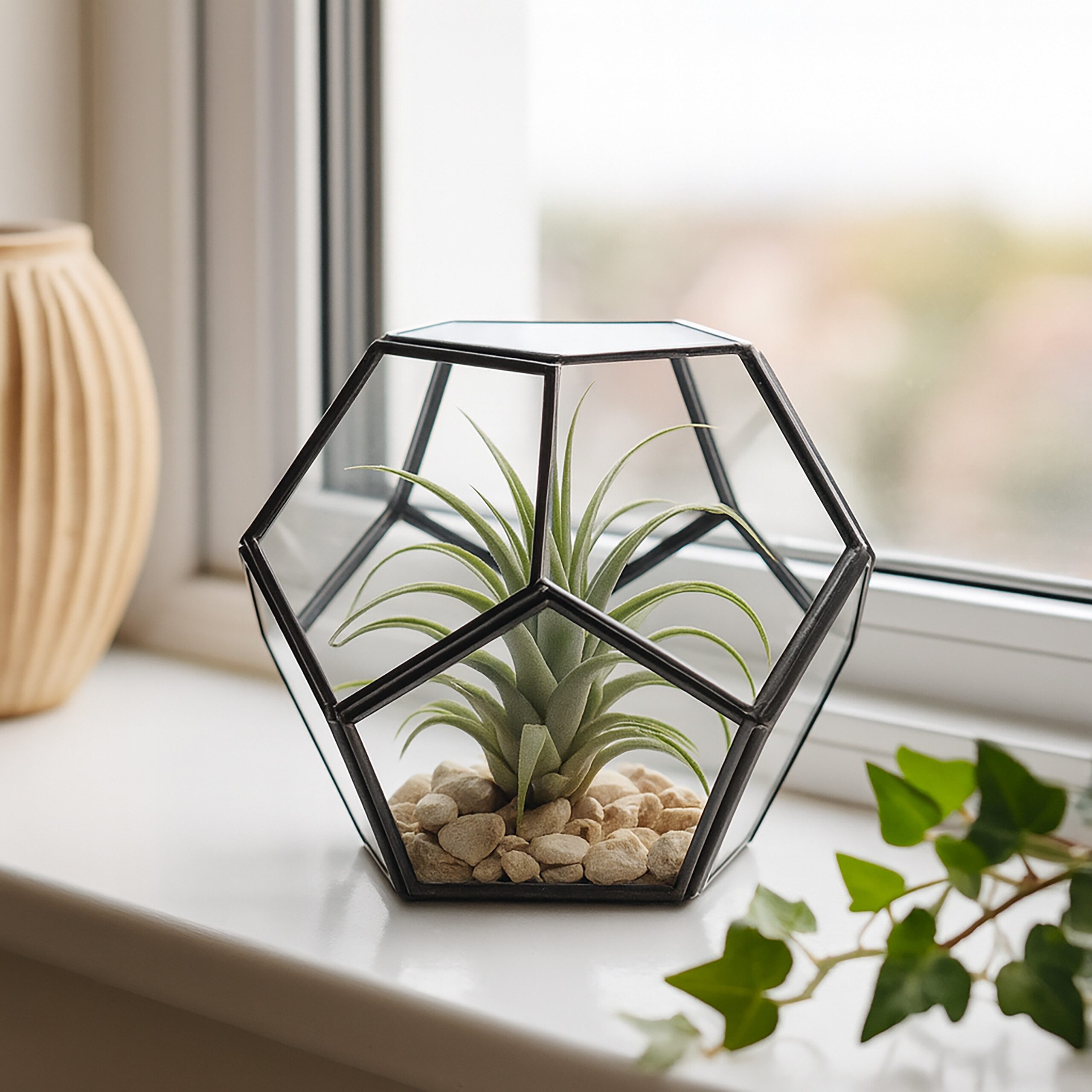 relaxdays Dekovase Geometrisches Pflanzenterrarium aus Glas (1 St), schwarz – Bild 3 von 5