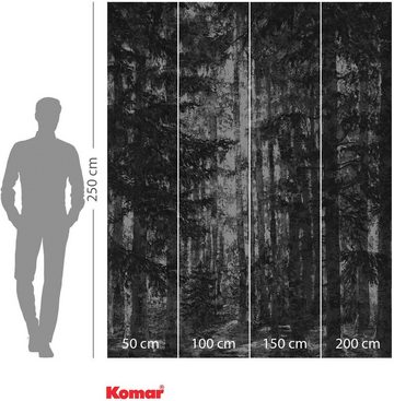 Komar Vliestapete Lustres Lapland, (1 St), 200x250 cm (Breite x Höhe), Vliestapete, 100 cm Bahnbreite