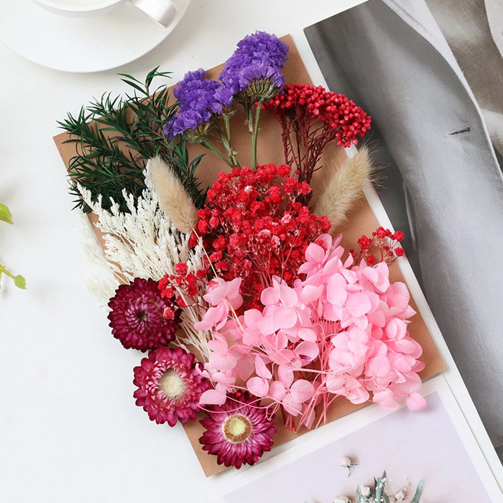 Trockenblume Pampasgras Zum Basteln Mini Trockenblumen, günstig online kaufen