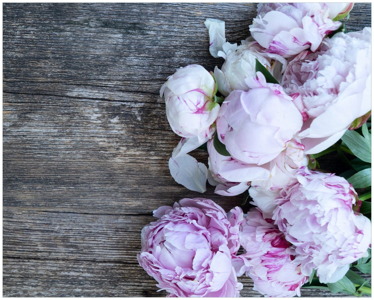 Wallario Poster, Pinke Blumen auf Holz, in verschiedenen Ausführungen