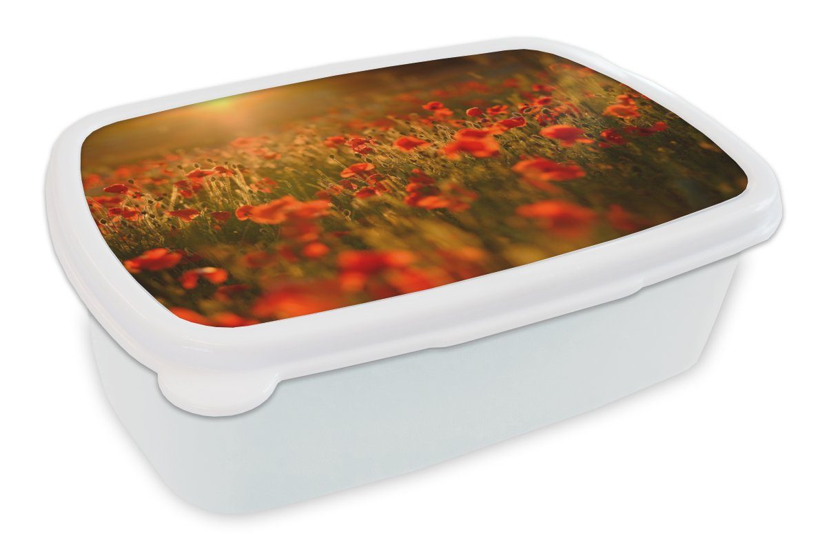 MuchoWow Lunchbox Orangefarbenes Leuchten über den Mohnblumen auf dem Feld, Kunststoff, (2-tlg), Brotbox für Kinder und Erwachsene, Brotdose, für Jungs und Mädchen weiß