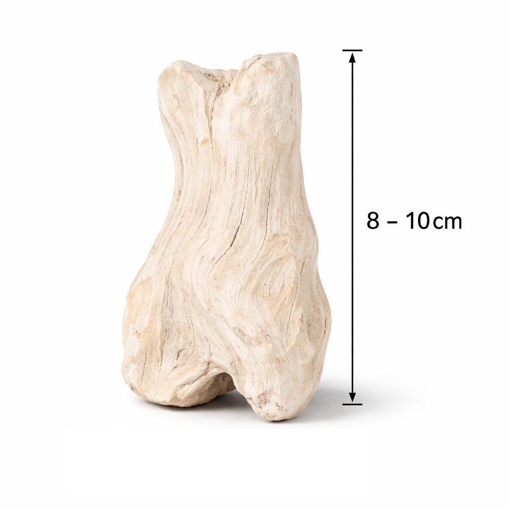 NaDeco Bastelnaturmaterial Teak-Treibholz gebleicht 1kg, ca. 8–10 cm, Deko-Holz