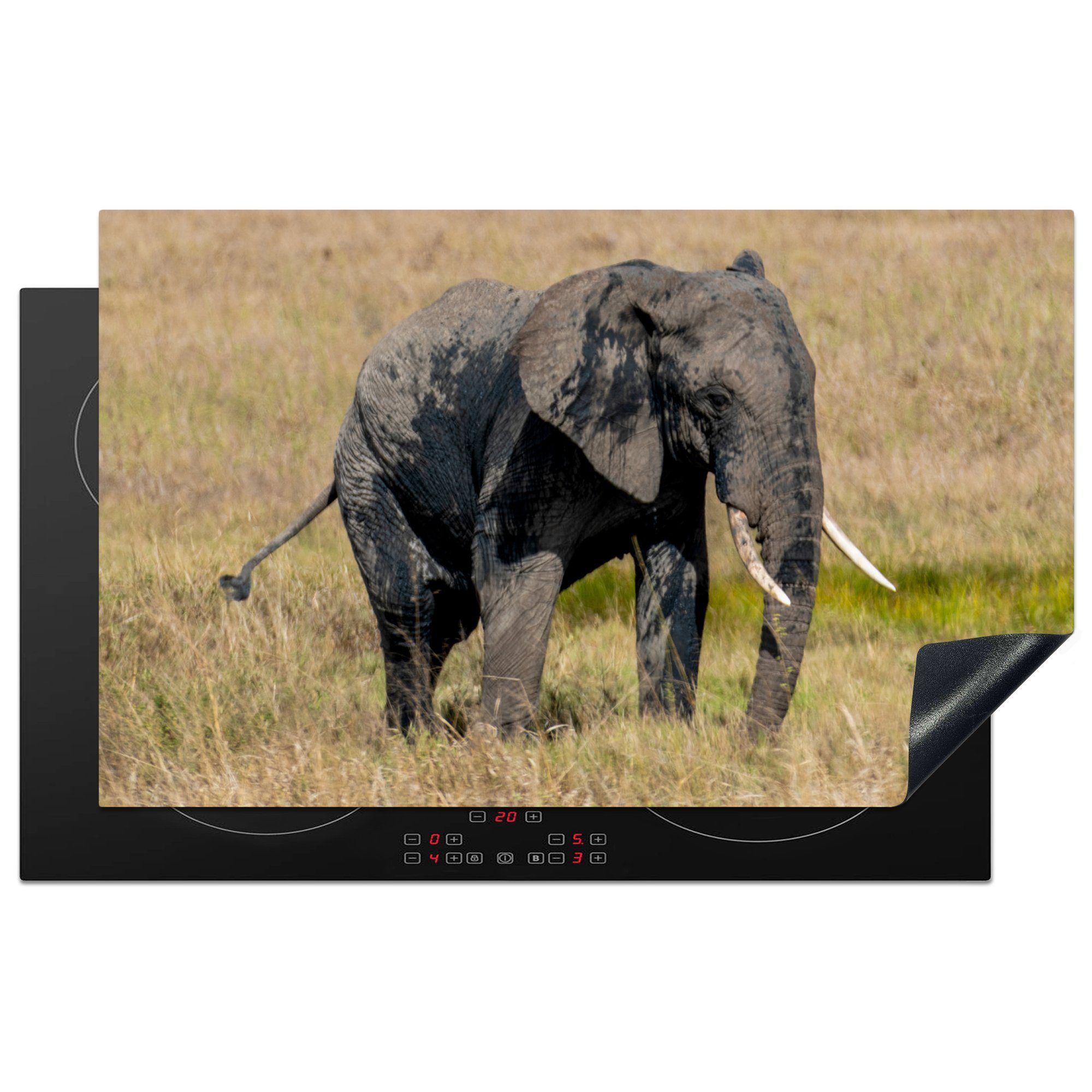 MuchoWow Herdblende-/Abdeckplatte Elefant - Gras - Tiere - Natur, Vinyl, (1 tlg), 83x51 cm, Ceranfeldabdeckung, Arbeitsplatte für küche