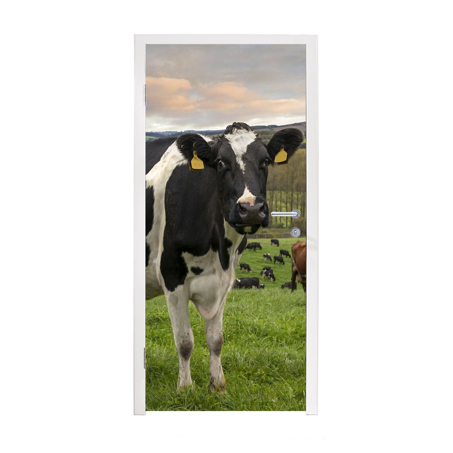 MuchoWow Türtapete Kuh - Berg - Gras - Tiere, Matt, bedruckt, (1 St), Fototapete für Tür, Türaufkleber, 75x205 cm