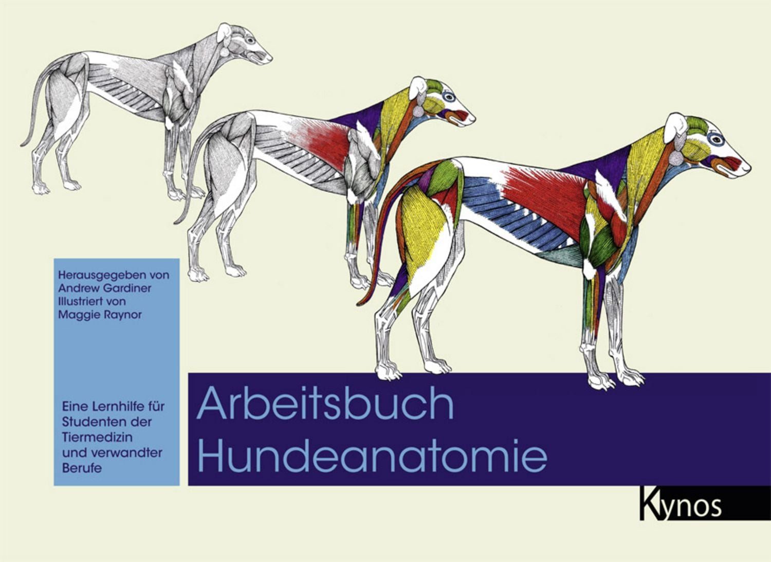 Arbeitsbuch Hundeanatomie / Maggie Raynor