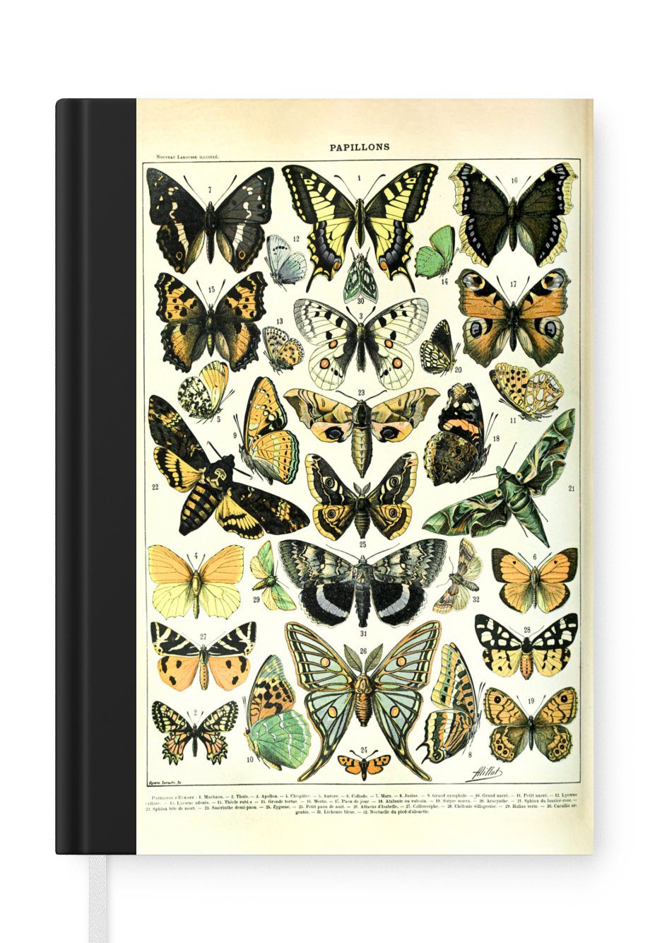 MuchoWow Notizbuch Schmetterling - Tiere - Insekten, Journal, Merkzettel, Tagebuch, Notizheft, A5, 98 Seiten, Haushaltsbuch