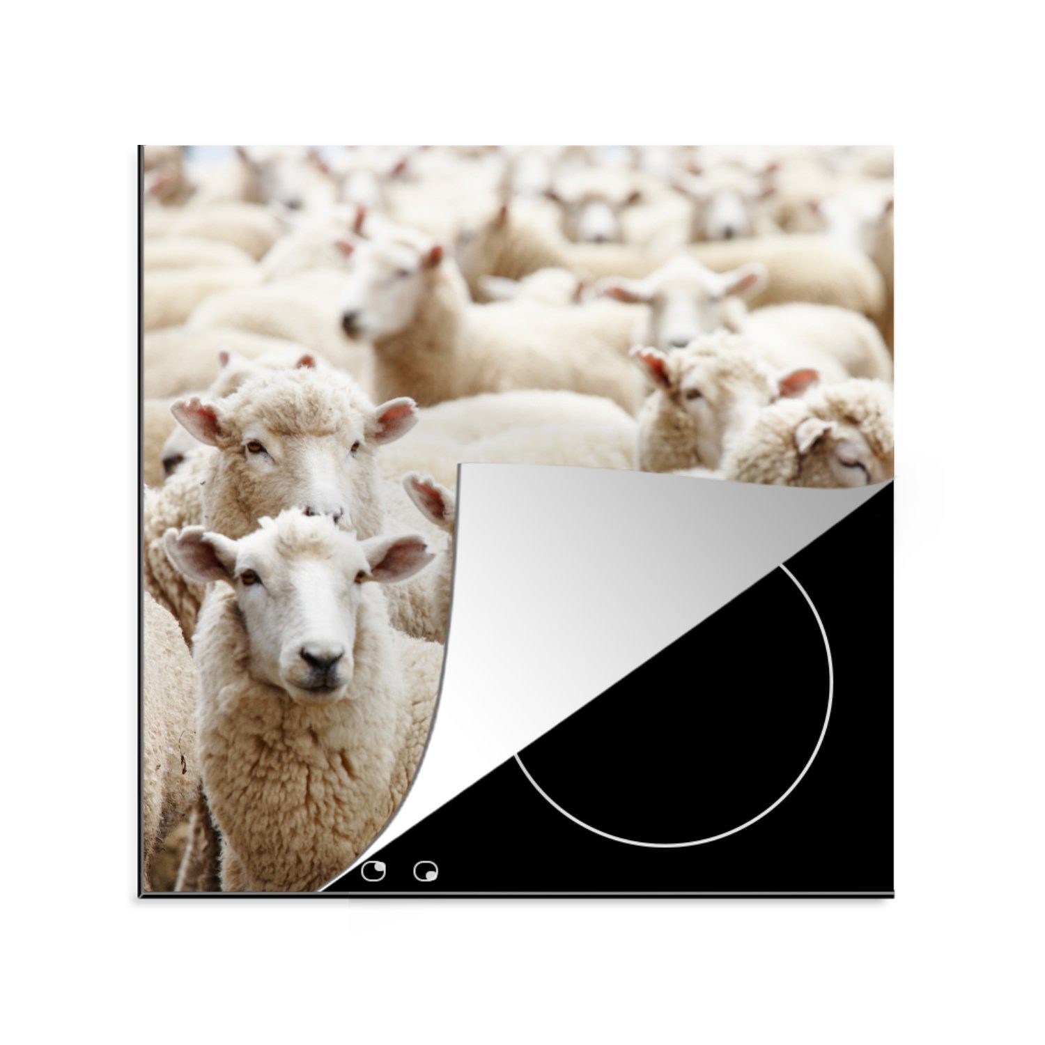 MuchoWow Herdblende-/Abdeckplatte Schafe - Wolle - Weiß, Vinyl, (1 tlg), 78x78 cm, Ceranfeldabdeckung, Arbeitsplatte für küche