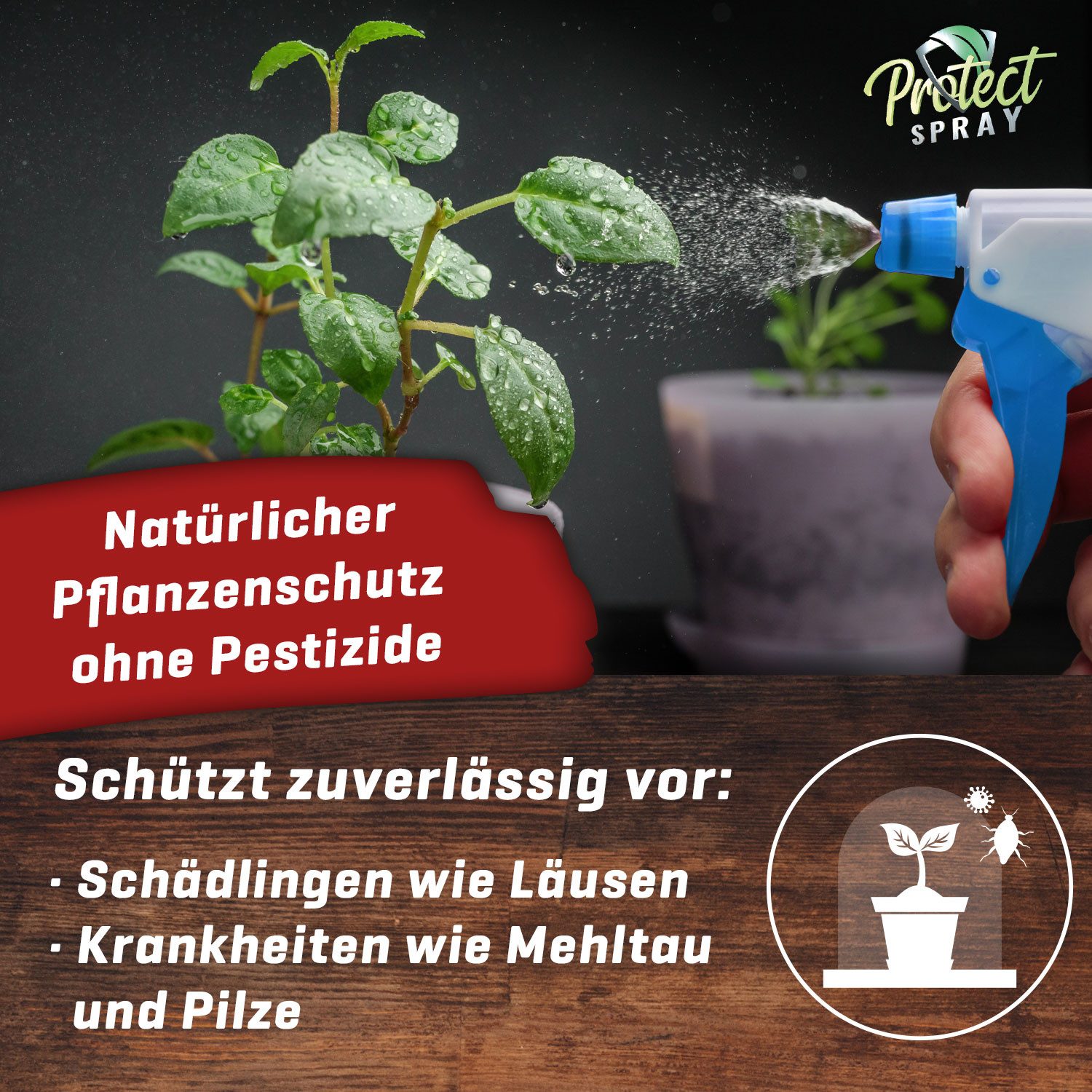 Plant Booom Pflanzenstärkungsmittel Protect Spray Plant günstig online kaufen