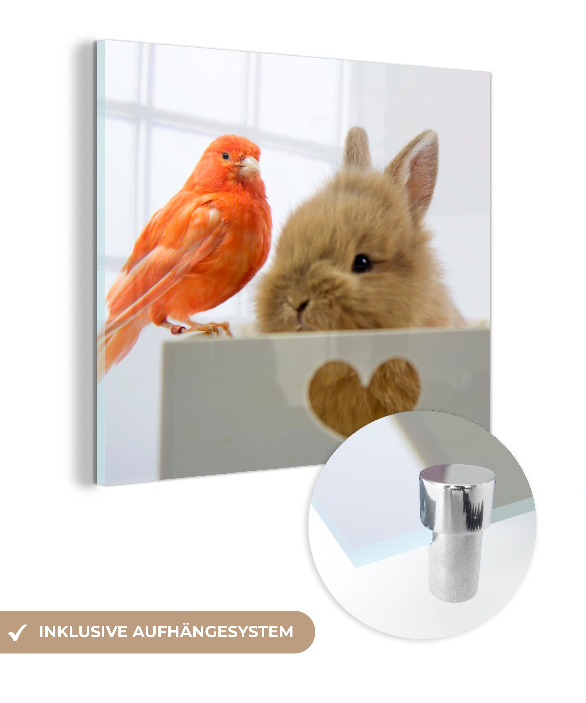 MuchoWow Acrylglasbild Tiere - Kaninchen - Vogel, (1 St), Glasbilder - Bilder auf Glas Wandbild - Foto auf Glas - Wanddekoration