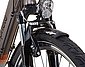 Prophete E-Bike »Geniesser pro«, 7 Gang Shimano Nexus Schaltwerk, Nabenschaltung, Mittelmotor 250 W, Bild 4