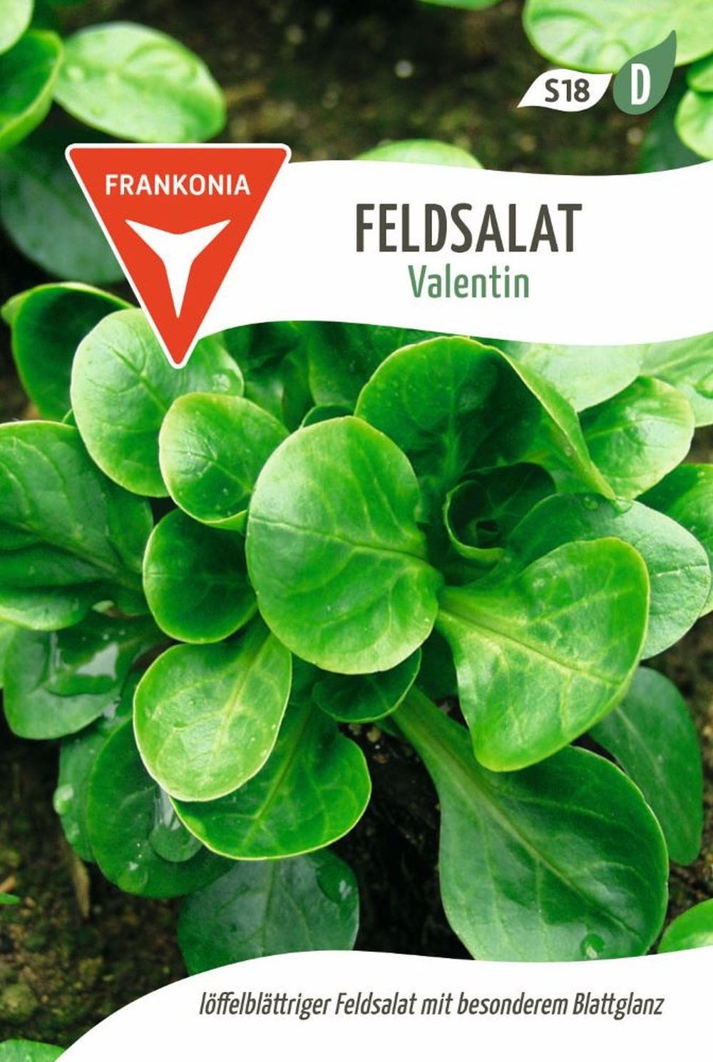 FRANKONIA Gemüsesamen Feldsalat, Valentin - Saatgut Salat-Samen Samen, Valerianella locusta