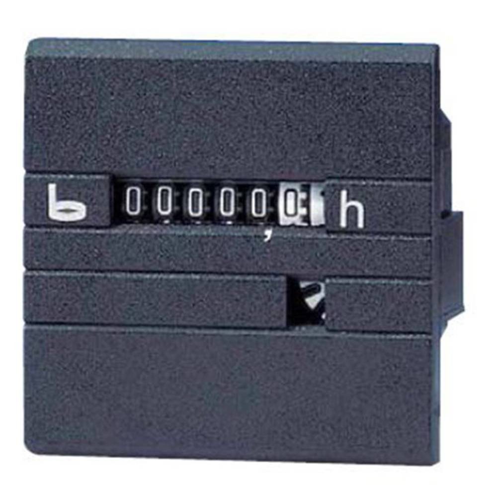 Bauser Anzeigegerät Betriebsstundenzähler - 630 630R/008-021-0-1-001
