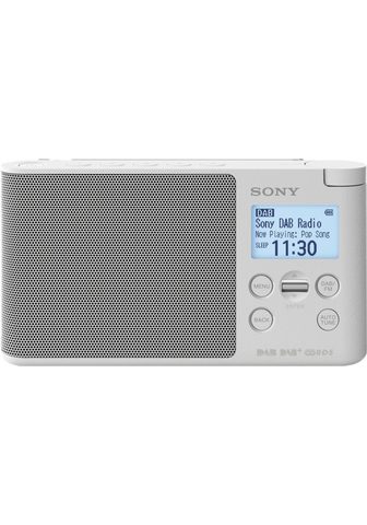 Radio »Design-Radio XDR-S41DB с ...