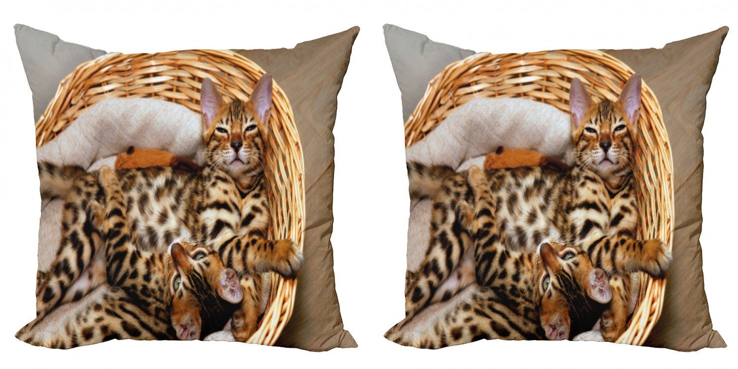 Kissenbezüge Modern Accent Doppelseitiger Digitaldruck, Abakuhaus (2 Stück), Kätzchen Bengal-Katzen im Korb