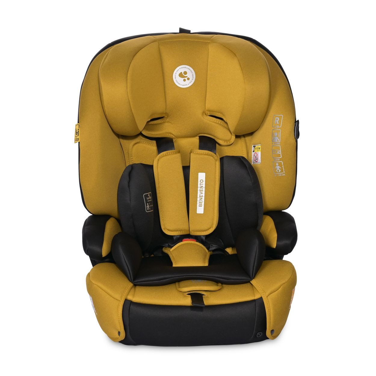 Lorelli Autokindersitz Kindersitz i-Size Benevento, ab: 1.25, bis: 12, (76-150 cm) Isofix, Kopfstütze verstellbar