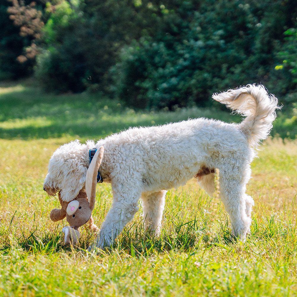 Nobby Kauspielzeug Nobby Hundespielzeug Plüschhase mit Seil