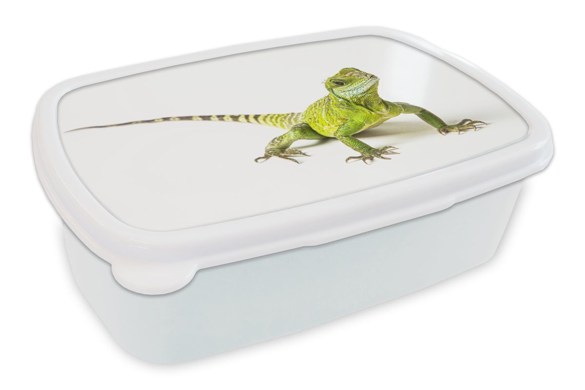Kinder und Jungs MuchoWow Mädchen - für Reptil Erwachsene, Lunchbox und für Weiß, (2-tlg), Eidechse Kunststoff, Brotdose, Brotbox -