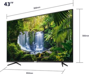 TCL 43P616X2 LED-Fernseher (108 cm/43 Zoll, 4K Ultra HD, Android TV, Android 9.0 Betriebssystem)