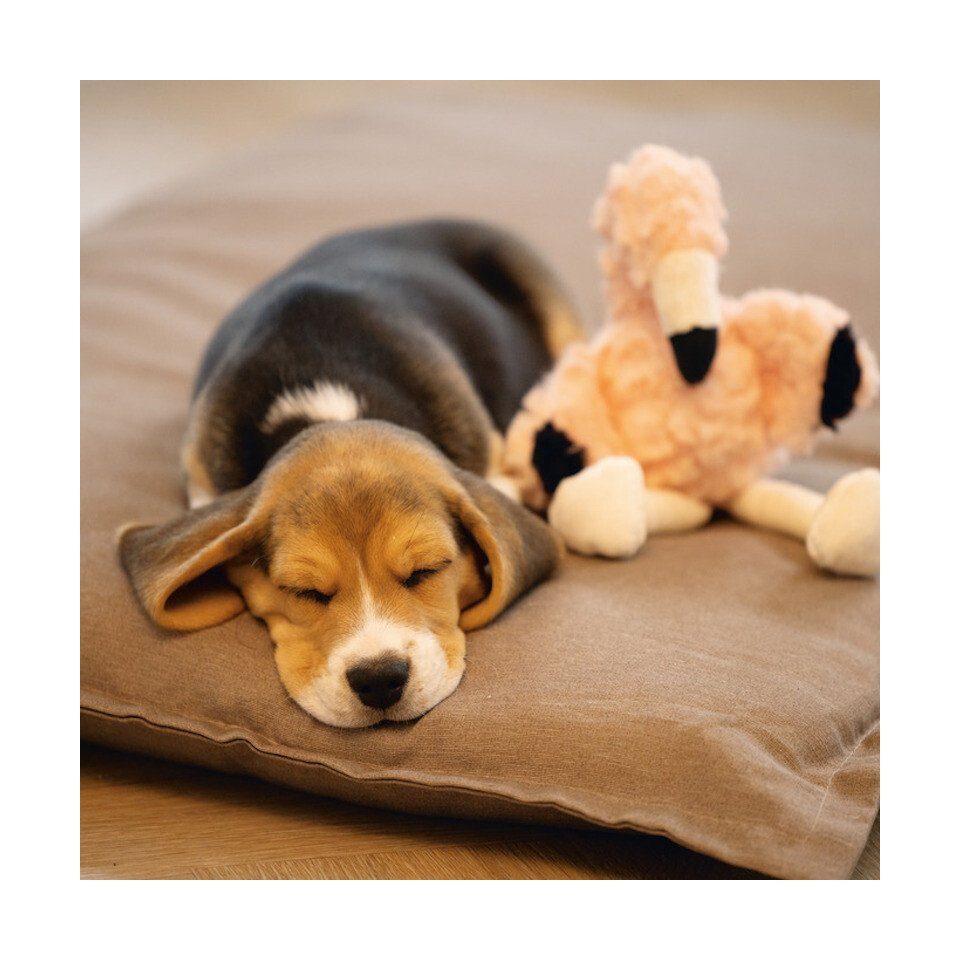 Beeztees Tierkuscheltier Hundespielzeug Puppy Flamingo Mick günstig online kaufen