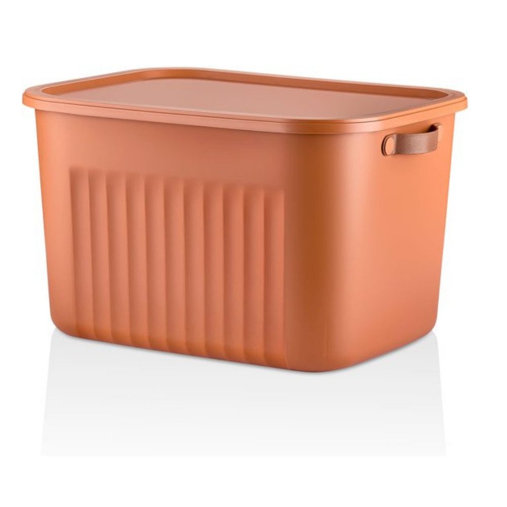 Luxury Bites Aufbewahrungsbox mit Deckel, 20L-15L günstig online kaufen